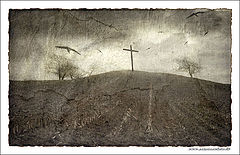 фото "Upon the naked cross ....."