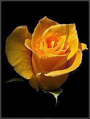 фото "№2"