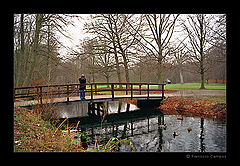 фото "(no title)"