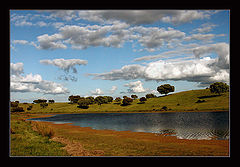 фото "natural colouration"