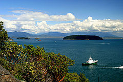 photo "Bay View"