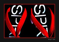 фото "..."