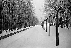 photo "The borders of death."