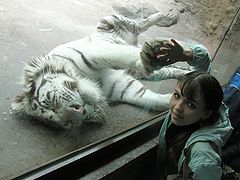 photo "Give five"