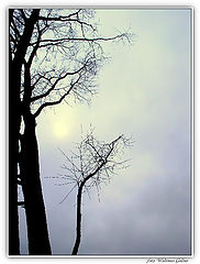 фото "#-091"