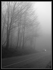 photo "Fog"