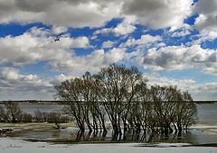 photo "Untitled photo"