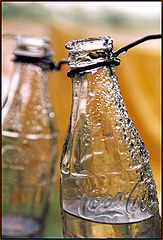 фото "Thirst..."