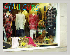 photo "Annecy. 1 dog"