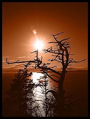 фото "Out Of Northwest"