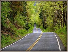 фото "Down the Road"