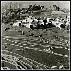 фото "Village"