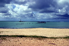 photo "Macayo (Brasil)"