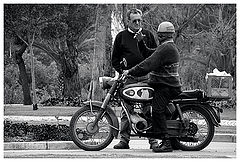 photo "Old friends"