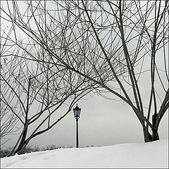 photo "***"