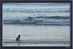 фото "waiting"