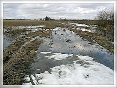 photo "Flood Season"