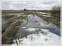 фото "Распутица"