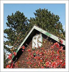 photo "House"