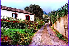 photo "Small Street"