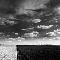фото "sky & earth"