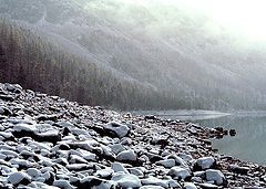 photo "Stone peaceful"