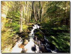 photo "The Stream"