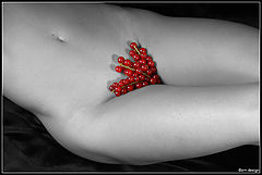 photo "Currants"
