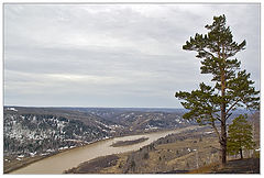 фото "Кондома"
