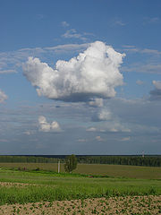 фото "Зависло..."