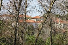 photo "Houses on the forest"