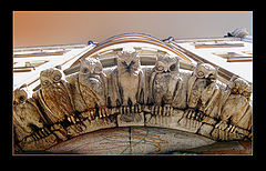 фото "The Watchers"