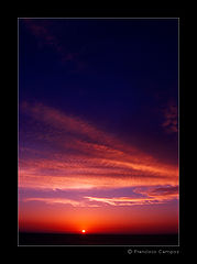 фото "(no title)"