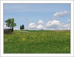 photo "White Clouds Of Spring"