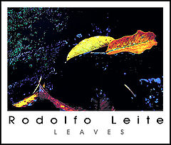 photo "Leaves"