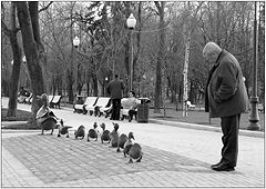 фото "Утиные Истории )))"