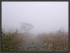 фото "lost way"