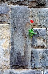 photo "In accordance with Line Geometry..."