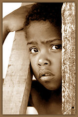 фото "Rodrigo... a distrustful look."