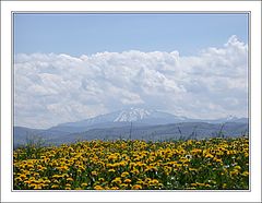 photo "Fields And Mountains"