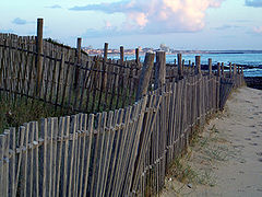 photo "Lines"