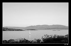 фото "lonely sailing"