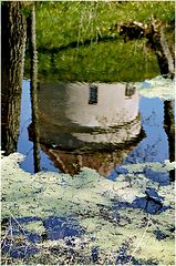 photo "Just a reflection"