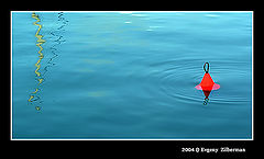 фото "Float&reflections"