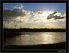 photo "+++"