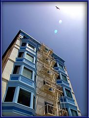 photo "Blue Sunday"
