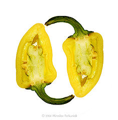 photo "Pepper"