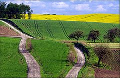photo "Highway"