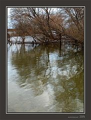 фото "Акварель. Весна."