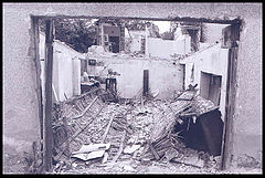 фото "Earthquake"